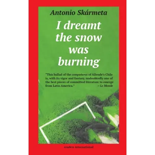 I Dreamt the Snow was Burning