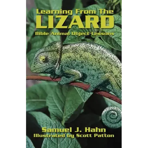 Learning from the Lizard