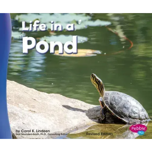 Life in a Pond