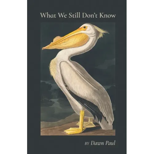 What We Still Don't Know