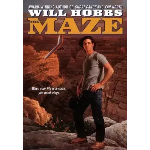 The Maze