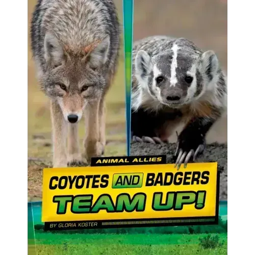 Coyotes and Badgers Team Up!