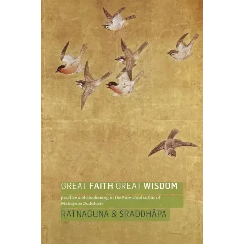 Great Faith, Great Wisdom: Practice and Awakening in the Pure Land Sutras of Mahayana Buddhism