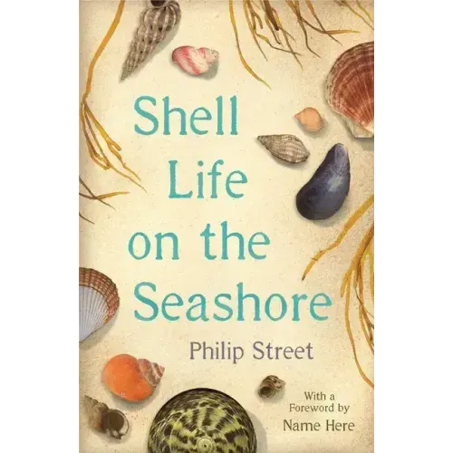 Shell Life on the Seashore