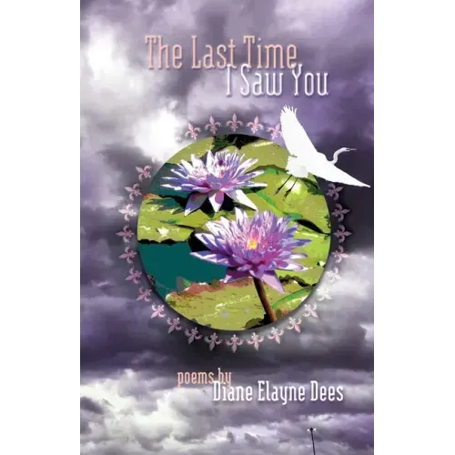 The Last Time I Saw You
