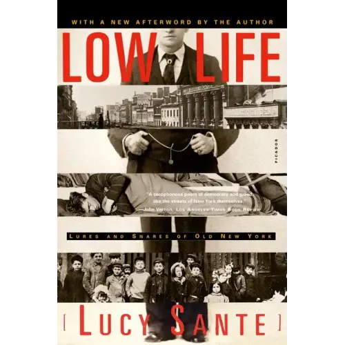 Low Life: Lures and Snares of Old New York