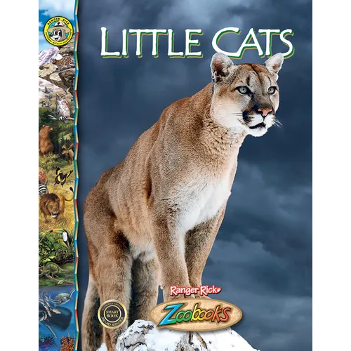 Little Cats