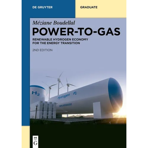 Power-To-Gas: Renewable Hydrogen Economy for the Energy Transition