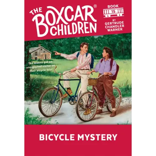 Bicycle Mystery