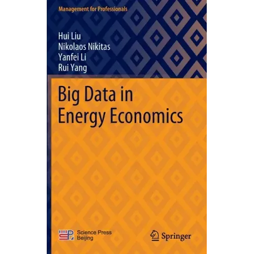 Big Data in Energy Economics