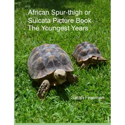 African Spur-thigh or Sulcata Picture Book - The Youngest Years