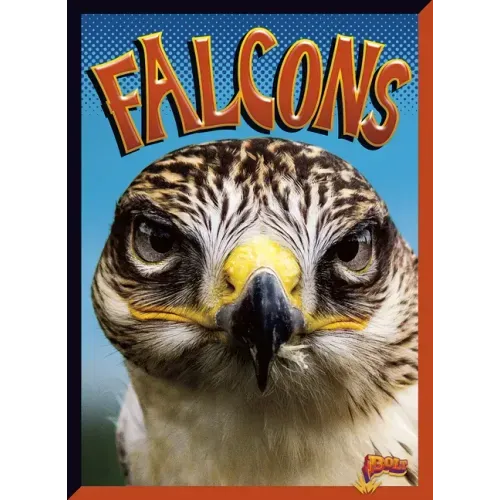 Falcons