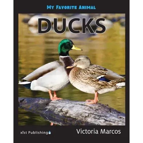 My Favorite Animal: Ducks