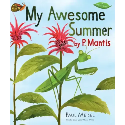 My Awesome Summer by P. Mantis
