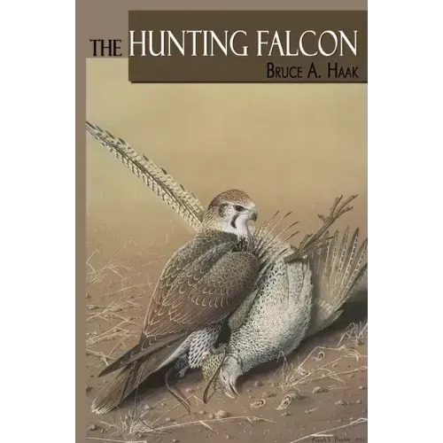 The Hunting Falcon
