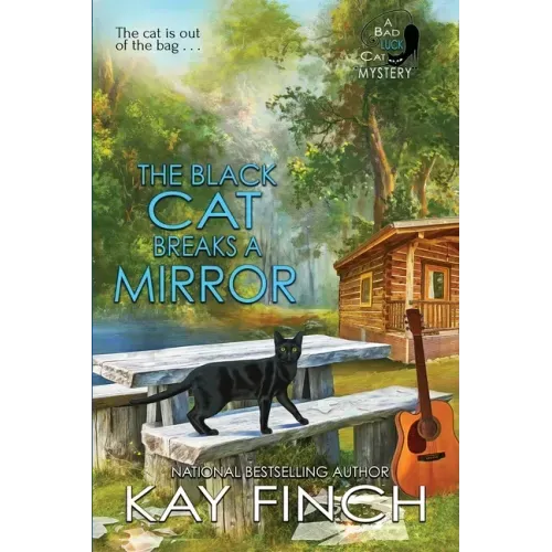 The Black Cat Breaks a Mirror