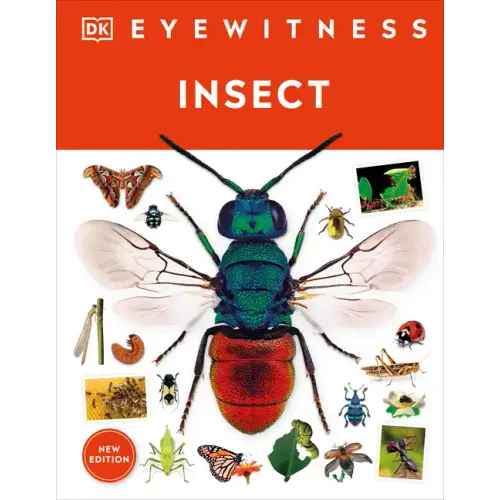 Eyewitness Insect