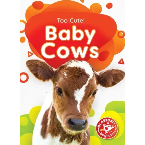 Baby Cows
