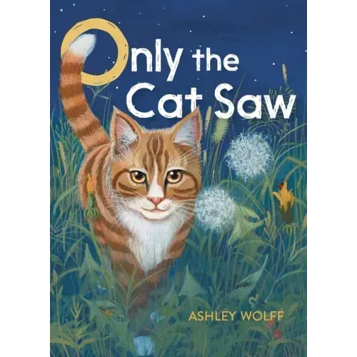Only the Cat Saw