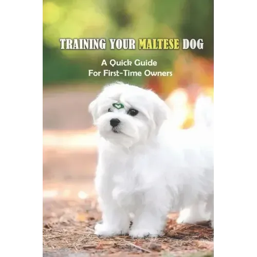 Training Your Maltese Dog: A Quick Guide For First-Time Owners: Maltese Breed Characteristic