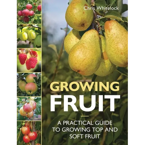 Growing Fruit: A Practical Guide to Growing Top and Soft Fruit