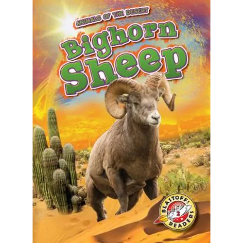 Bighorn Sheep