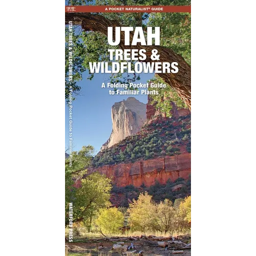 Utah Trees & Wildflowers: A Folding Pocket Guide to Familiar Plants
