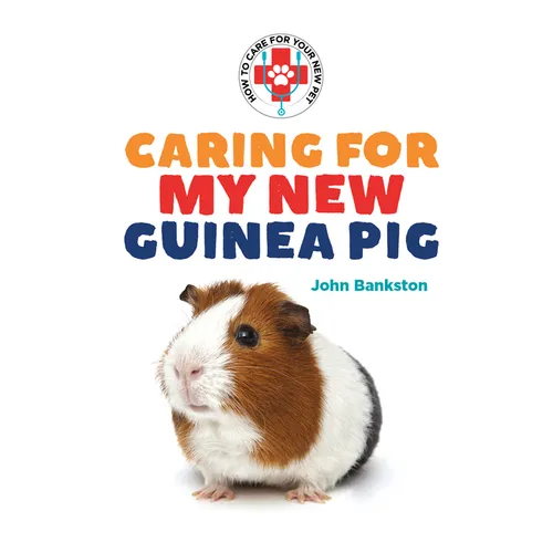 Caring for My New Guinea Pig