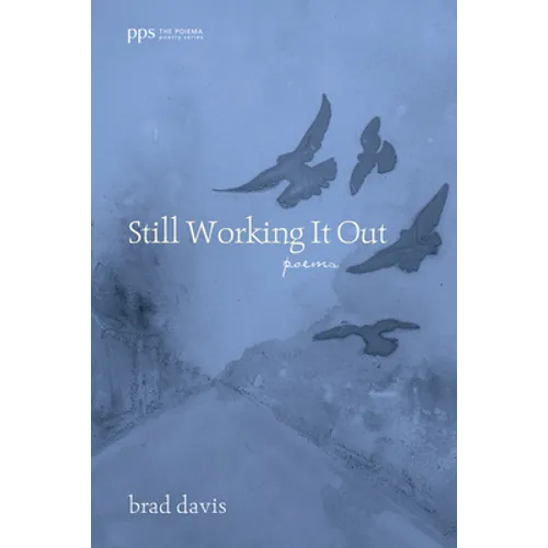 Still Working It Out: Poems