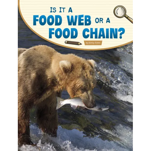 Is It a Food Web or a Food Chain?