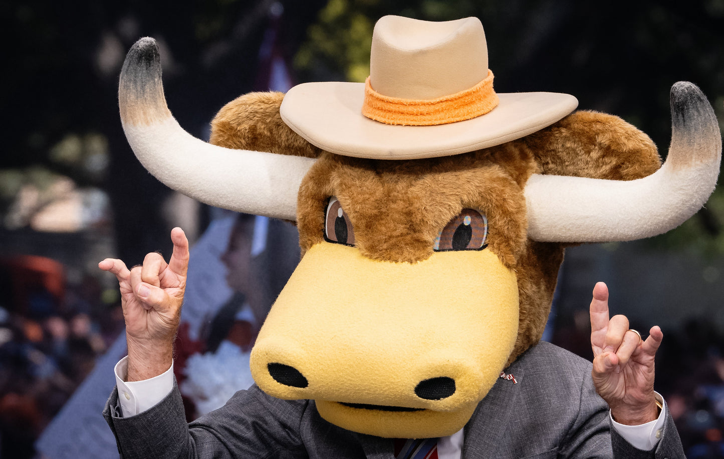 LEE CORSO: NOT SO FAST, MY FRIEND: A tribute to the soul of college football Book