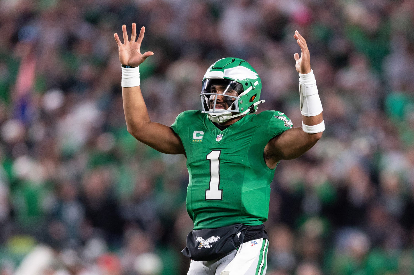 Flying High: How the Eagles Soared to the Championship Book