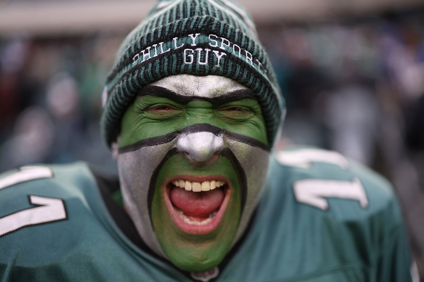 Flying High: How the Eagles Soared to the Championship Book
