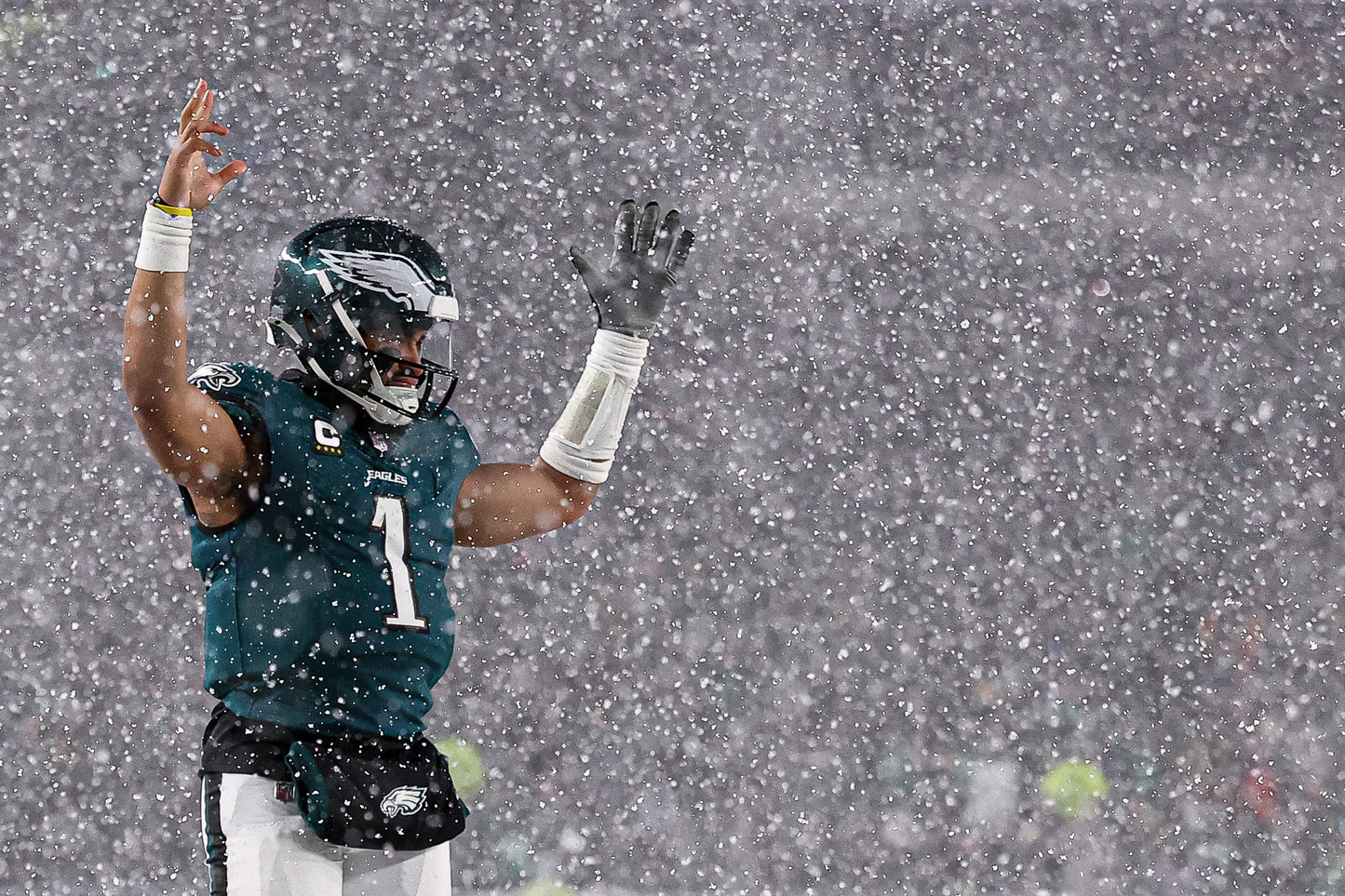 Flying High: How the Eagles Soared to the Championship Book