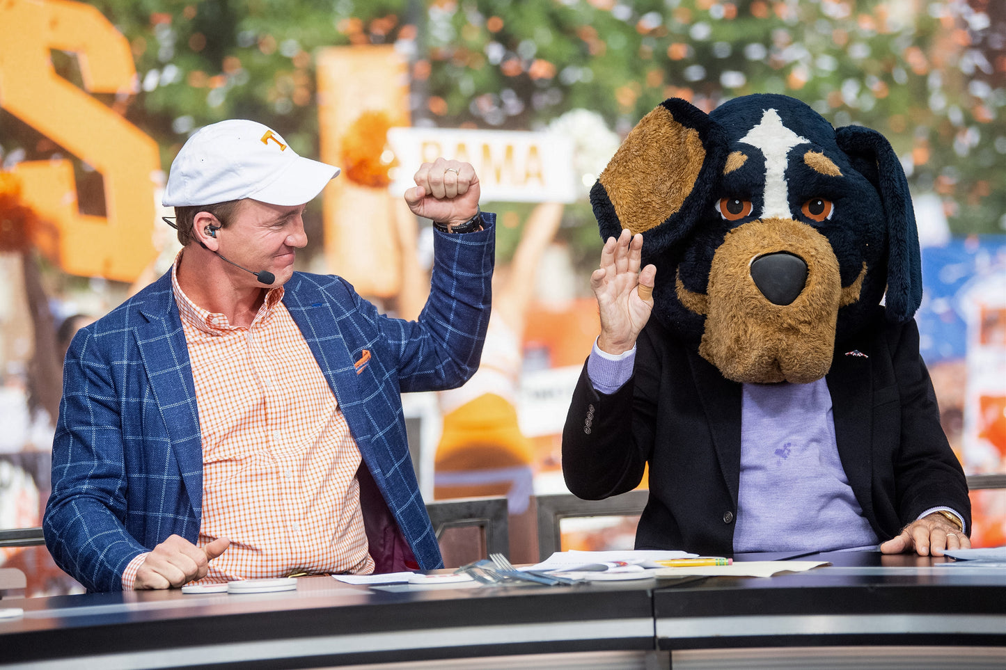 LEE CORSO: NOT SO FAST, MY FRIEND: A tribute to the soul of college football Book