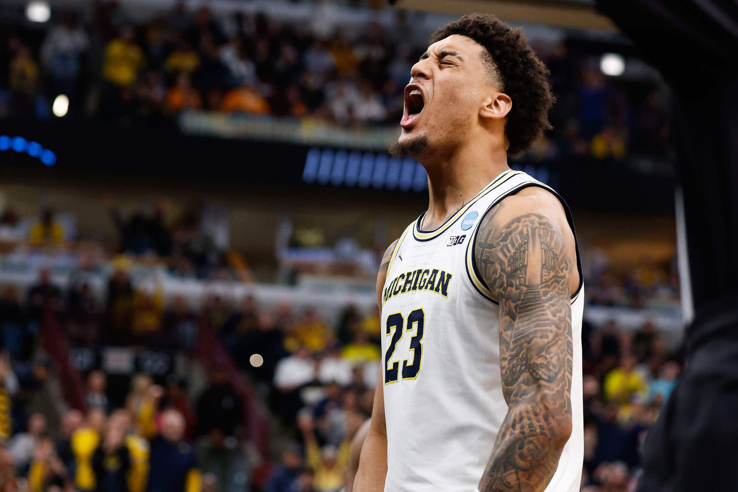 MAIZE THE ROOF: How the Michigan Wolverines Dominated College Basketball Book (Pediment)  - PREORDER ships 06/05/2026
