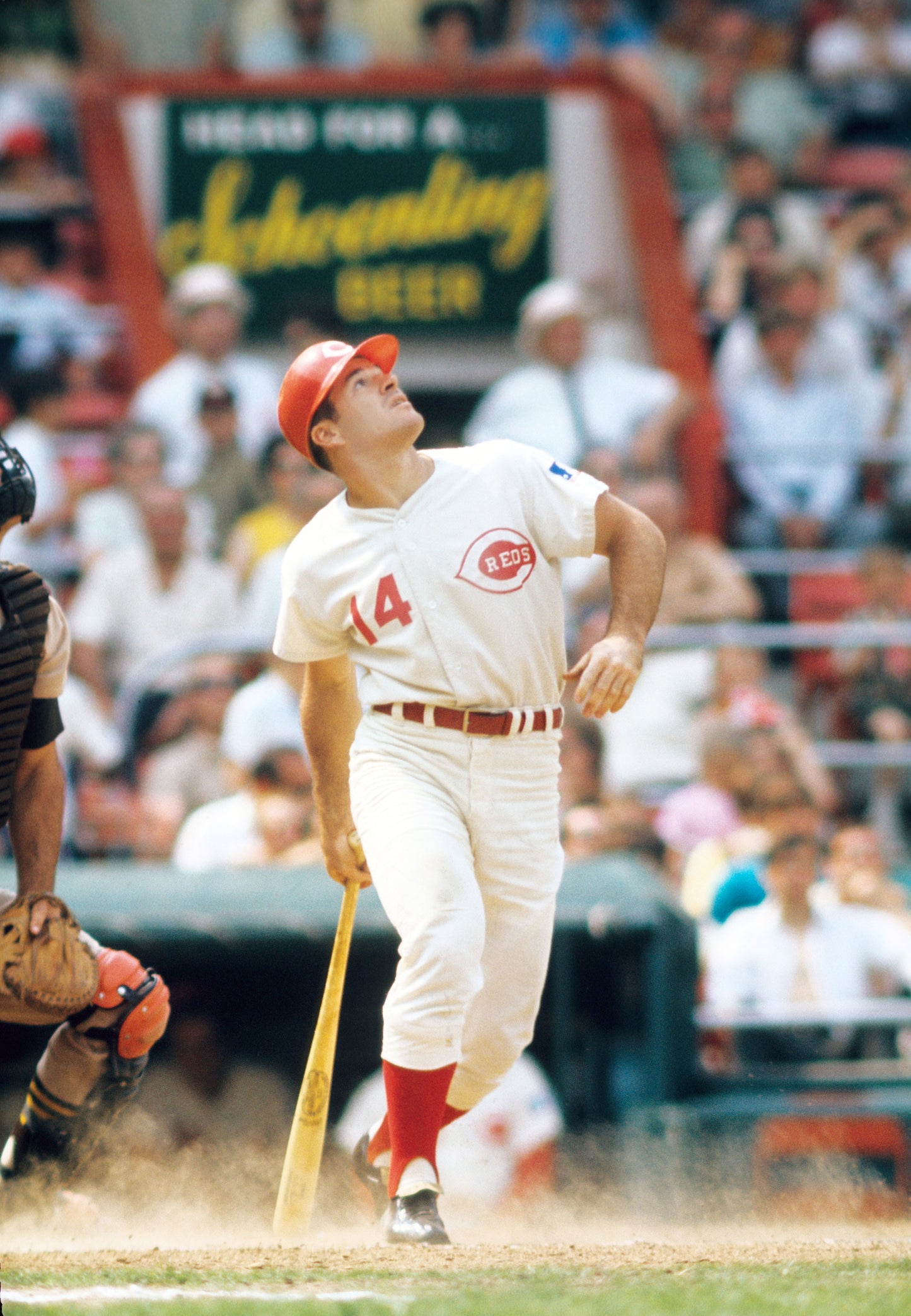Pete Rose: A Tribute to a Baseball Legend Book