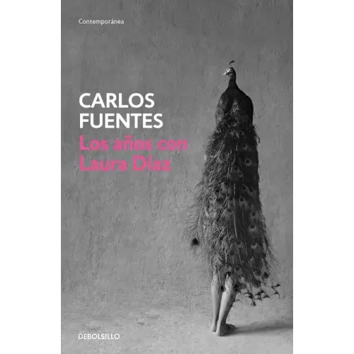 Los Años Con Laura Diaz / The Years with Laura Diaz