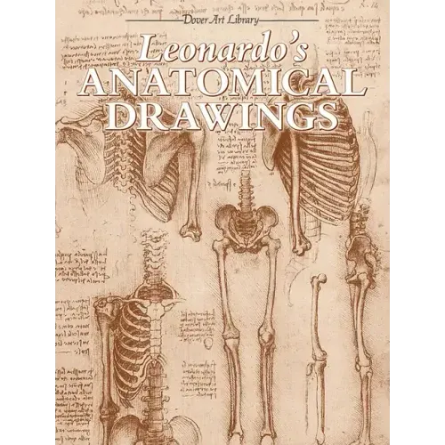 Leonardo's Anatomical Drawings