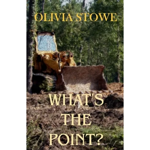 What's The Point?: Charlotte Diamond Mysteries 5