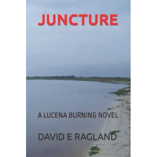 Juncture: A Lucena Burning Novel