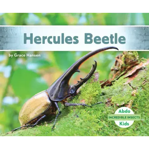 Hercules Beetle
