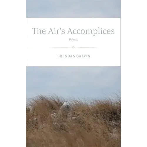 The Air's Accomplices: Poems