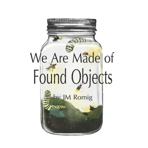 We Are Made of Found Objects