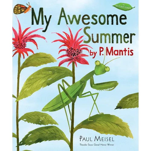 My Awesome Summer by P. Mantis