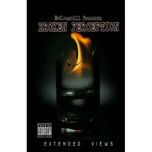 Broken Perception: Extended Views