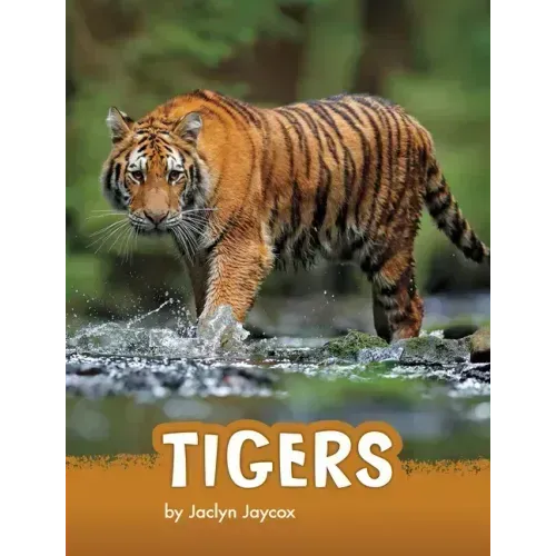 Tigers