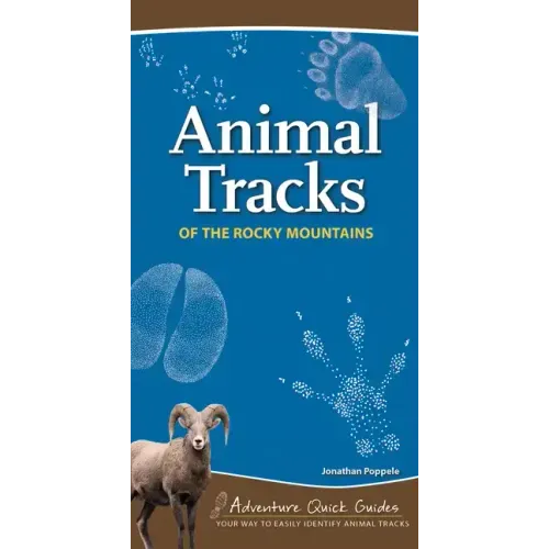 Animal Tracks of the Rocky Mountains: Your Way to Easily Identify Animal Tracks