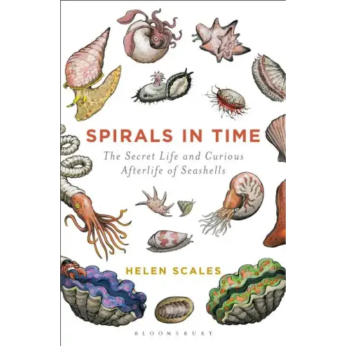 Spirals in Time: The Secret Life and Curious Afterlife of Seashells
