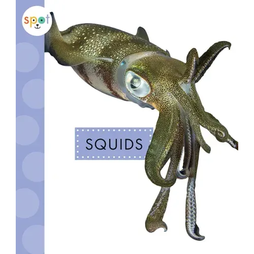 Squids